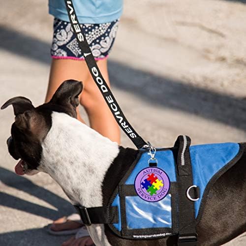 כלב שירות אוטיזם תג זיהוי תגי זיהוי | קטעים על אפוד כלבי שירות, רתמה, צווארון, רצועה או מוביל | כולל חמישה כרטיסי